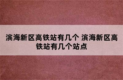 滨海新区高铁站有几个 滨海新区高铁站有几个站点